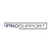 Netgear ProSupport XpressHW (PRR0332-100GRS)